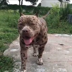 Meet your Posher, Timothy